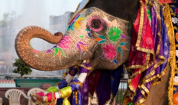 Transforming a nation with products