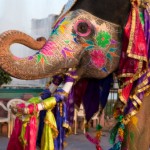 Gangaur Festival-Jaipur Gangaur Festival-Jaipur