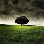 hill-field-tree-clouds-dark-clouds-grass-2048x2048